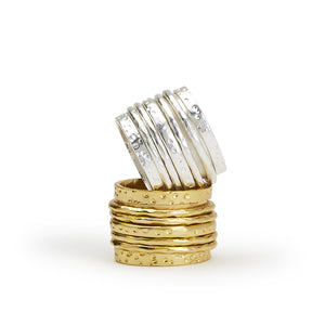 Spinning Ring: Silver and Gold/Brass