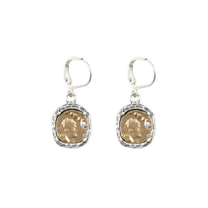 Silver Replica Coin and Frame Dangle Earring